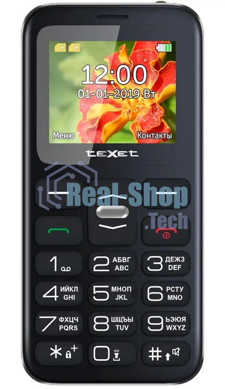 Мобильный телефон teXet TM-B209 черный