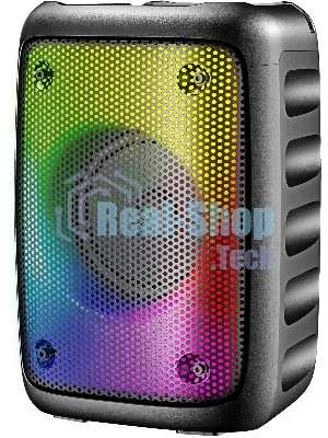 Колонка портативная Hyundai H-PS1006 черный 30 Вт 1.0 BT 10м 1500mAh