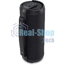Колонка портативная Digma D-PS1520 черный/черный 16W 1.0 BT 10м 1500mAh