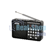 Радиоприемник PERFEO (PF_D0566) PALM, черный