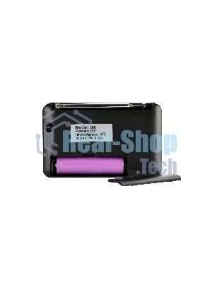Радиоприемник PERFEO (PF_D0566) PALM, черный