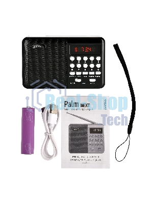 Радиоприемник PERFEO (PF_D0566) PALM, черный