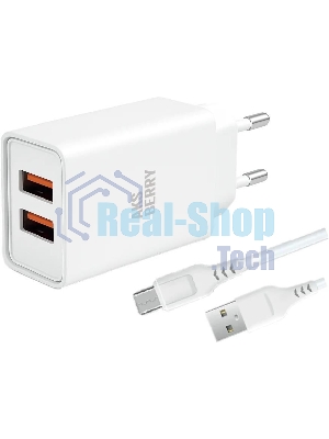 Зарядное устройство Aksberry СЗУ T38 2 USB 2.4A + MicroUSB белый