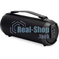 Колонка портативная Digma D-PS1520 черный/черный 16W 1.0 BT 10м 1500mAh