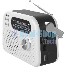 Радиоприемник Ritmix RPR-045 белый
