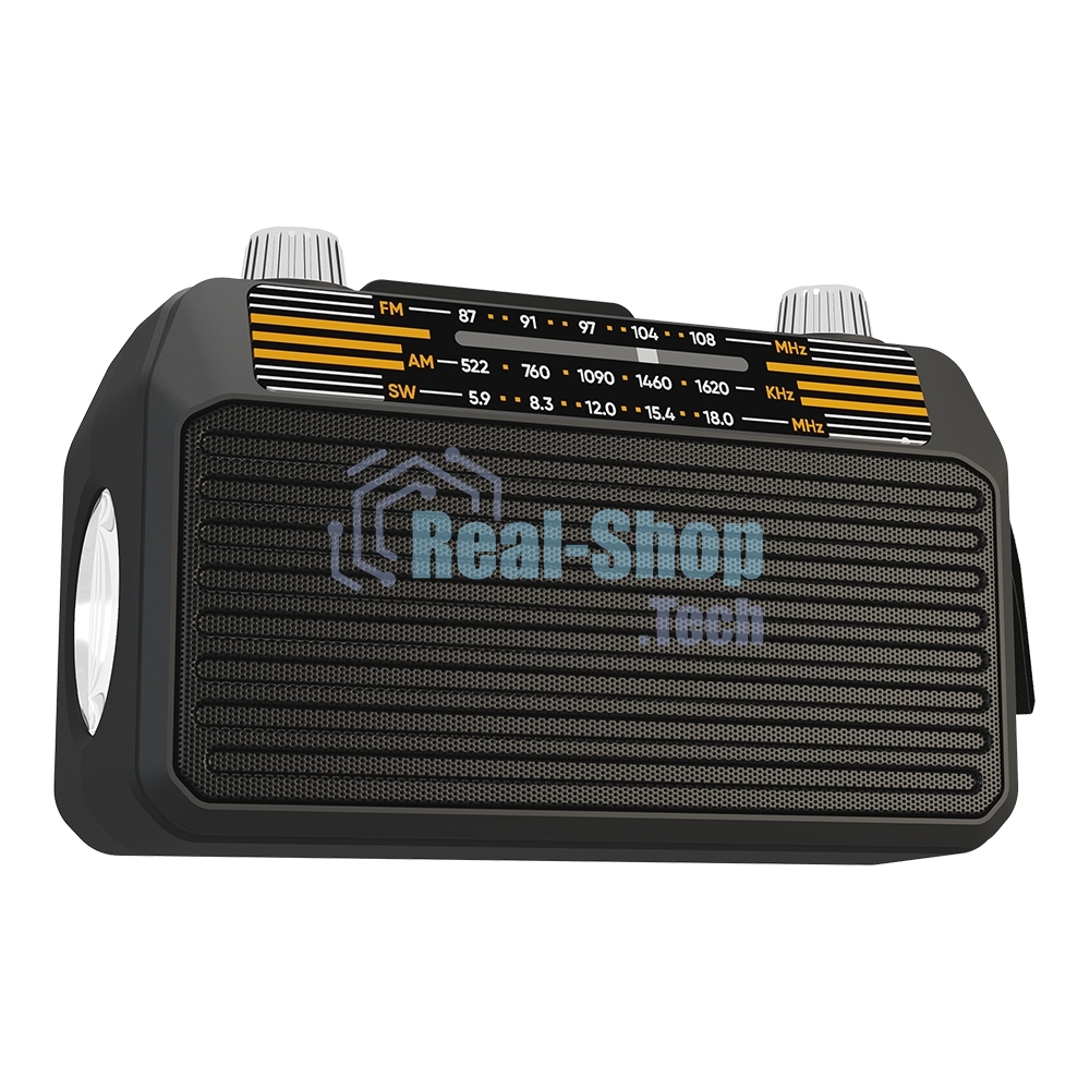 Радиоприемник SOUNDMAX SM-RD2114UB черный