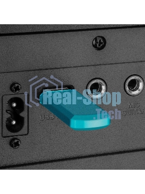 Колонка портативная SVEN АС PS-1000 черный 160W 1.0 BT/3.5Jack 8000mAh