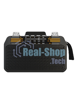 Радиоприемник SOUNDMAX SM-RD2114UB черный