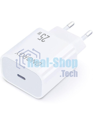 Сетевое зарядное устройство ENERGY ET-41 PRO (109939)