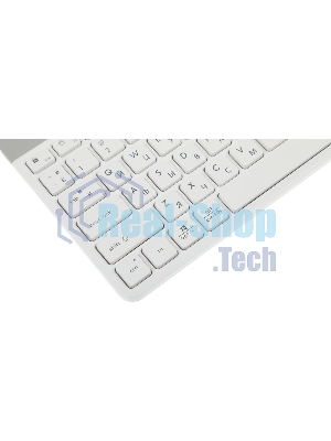 Клавиатура проводная A4Tech Fstyler FK25, USB, белый/серый