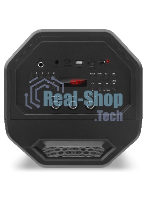 Мобильные колонки SVEN PS-655 2.0 черные (2x25W, mini Jack, USB Type-C, USB flash, Bluetooth, FM, micro SD, ПДУ, LED экран, 4400 мA, RGB подсветка)
