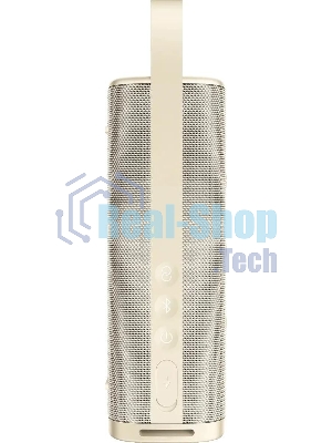 Портативная колонка XIAOMI Sound Outdoor S29H-GL Gold (QBH4370GL)