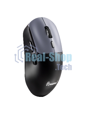 Мышь игровая беспроводная Dual BT+USB с зарядкой Smartbuy X7 черно-синяя (SBM777DSG) /40.  