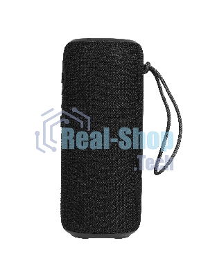 Колонка беспроводная AIWA PAS-H300 черный