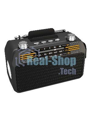 Радиоприемник SOUNDMAX SM-RD2114UB черный
