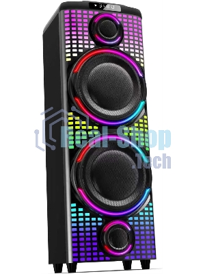 Портативная колонка AIWA CAS-1000 (25245)