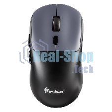 Мышь игровая беспроводная Dual BT+USB с зарядкой Smartbuy X7 черно-синяя (SBM777DSG) /40.  