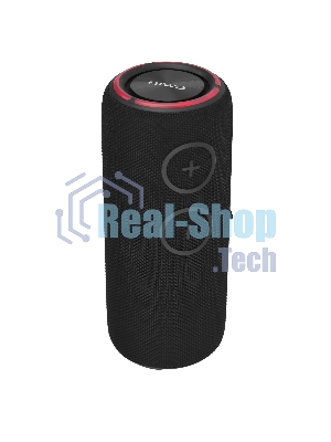Колонка беспроводная AIWA PAS-H300 черный