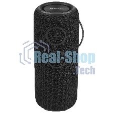 Колонка беспроводная AIWA PAS-H300 черный
