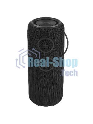 Колонка беспроводная AIWA PAS-H300 черный