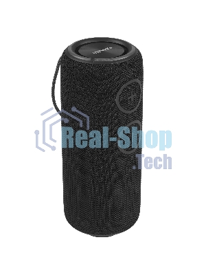Колонка беспроводная AIWA PAS-H300 черный