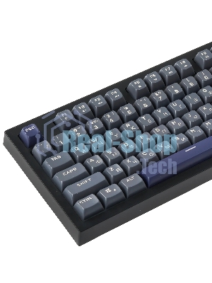 Клавиатура проводная Ritmix RKB-508BL Black