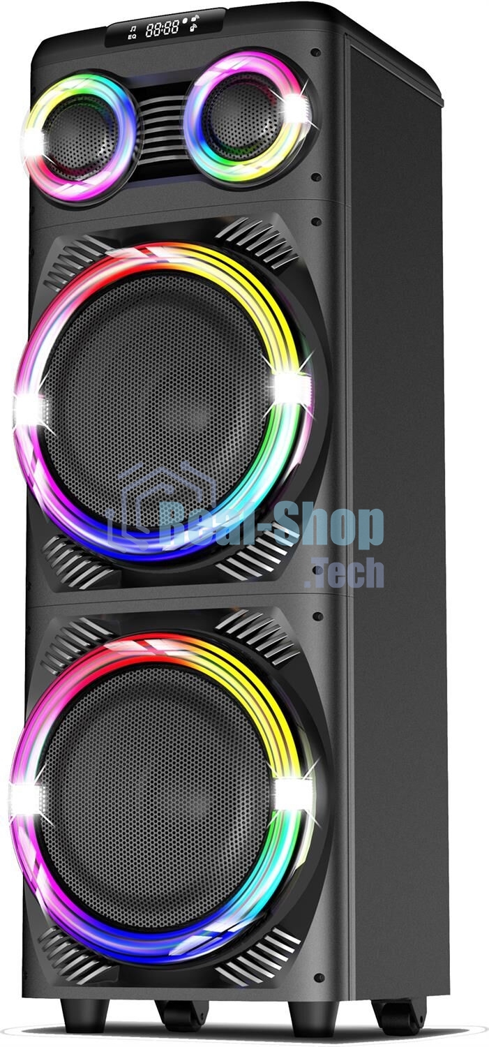 Портативная колонка AIWA CAS-1200 (25246)