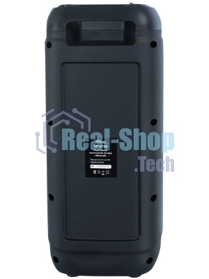 Портативная колонка Ritmix SP-875B черный