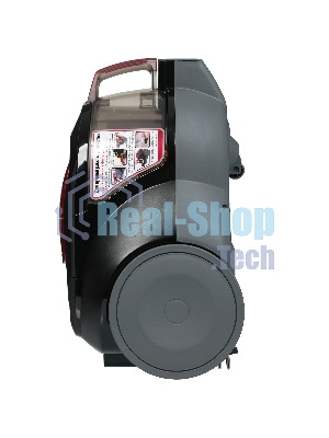 Пылесос LG VC5316NNDR черный/красный, 330/1600 Вт, уборка сухая, пылесборник контейнер 1,3 л