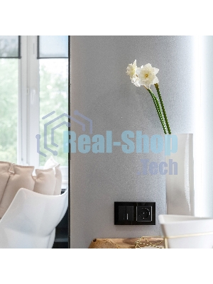 Рамка WERKEL на 2 поста (черный,стекло) W0021108