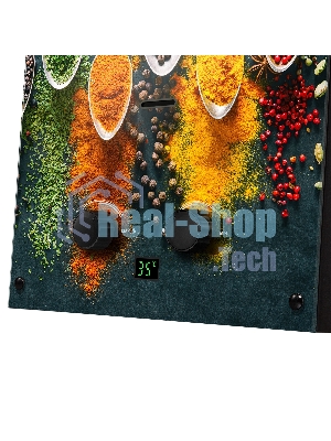 Колонка газовая Ballu GWH 10 Fiery Glass Curry