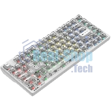 Клавиатура A4Tech Bloody MS76 проводная, USB Type-A, белый