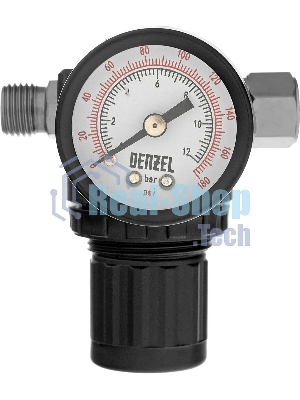 Регулятор давления с манометром Denzel R1500, 12 бар, 1/4