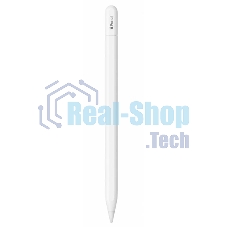 Перо-карандаш Apple Pencil (USB-C)