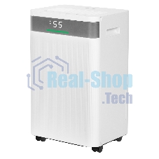 Осушитель воздуха Ballu Vector BD-20L VT белый, 20 л/сутки, 4 л, очистка воздуха, гигростат