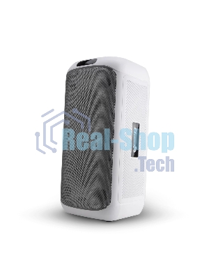 Колонка Eltronic 30-86 DANCE BOX 900 белый