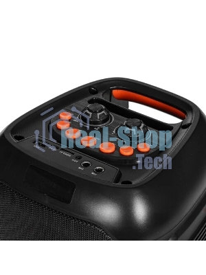 Акустическая система Ginzzu GM-234 Midi, BT/USB/TF/FM/MIC/ДУ
