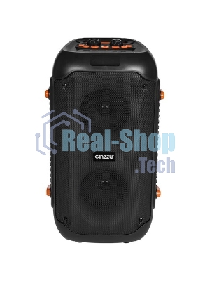 Акустическая система Ginzzu GM-234 Midi, BT/USB/TF/FM/MIC/ДУ