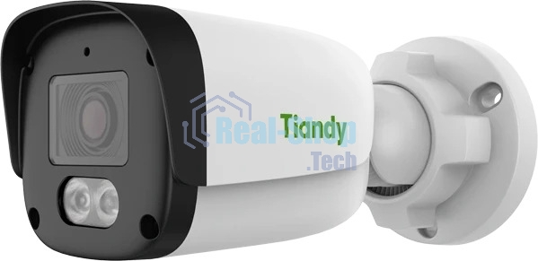 Камера видеонаблюдения Tiandy TC-C34QN 2GNA-28