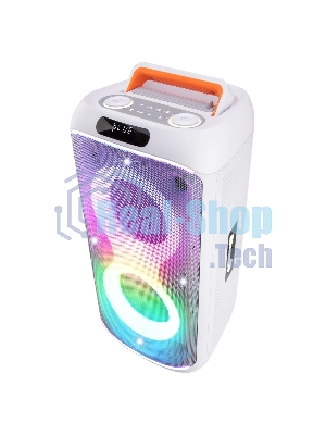 Колонка Eltronic 30-86 DANCE BOX 900 белый