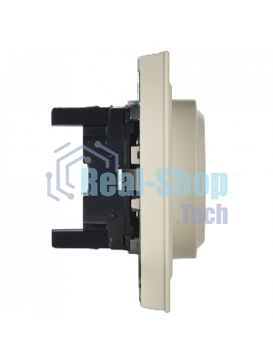 Розетка 2-местная IEK BRITE РС12-3-БрКр (BR-R21-16-K10-F) с заземлением, без защитных шторок, 16А в сборе, бежевый