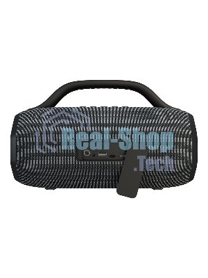 Портативная колонка SOUNDMAX SM-PS5033B серый