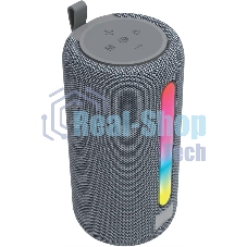 Портативная акустика AKSBERRY AS-25 VibeGo,серый