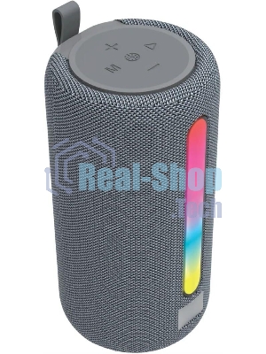 Портативная акустика AKSBERRY AS-25 VibeGo,серый