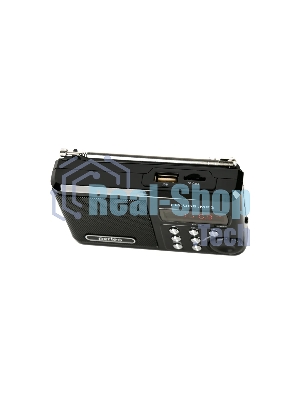 Радиоприемник PERFEO (PF_D0564) Sound, черный
