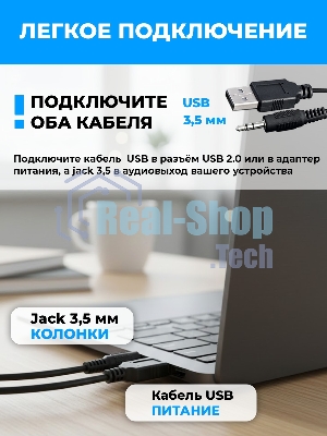 Портативная колонка Ritmix SP-3035W