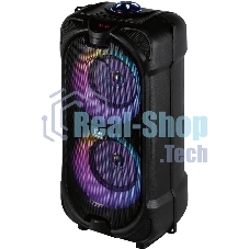 Портативная акустика AKSBERRY AS-27 EchoBoom, черный