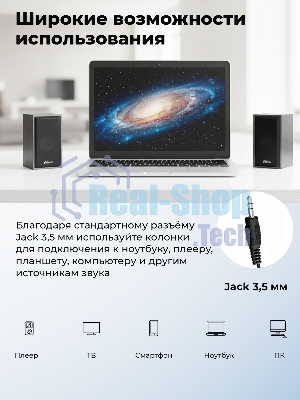 Портативная колонка Ritmix SP-3035W