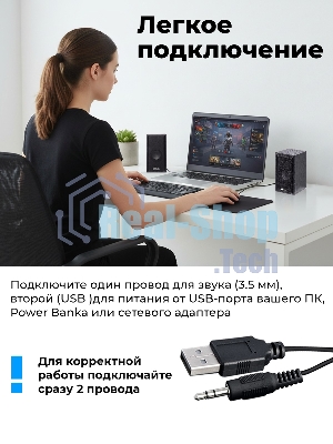 Портативная колонка Ritmix SP-3035W