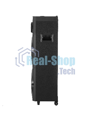 Минисистема AIWA CAS-1001 черный
